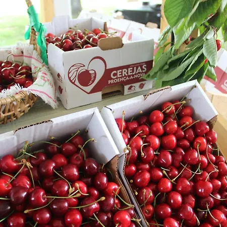 Monte Cerejas Semesterbostad *